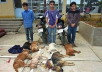 Bắn chết 3 con chó, đang mang bán thì cẩu tặc bị bắt
