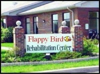 Bất ngờ xuất hiện trại cai nghiện Flappy Bird