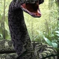 [TiChuot] Anaconda khổng lồ đã từng tồn tại ?