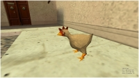 [TiChuot] Sự thật khủng khiếp về con gà trong Counter Strike !