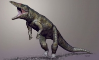 [MacproDS] Cá sấu khổng lồ từng là chúa tể muôn loài