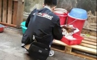 Hong Kong bắt giữ 1 người việt vì nghi giết mổ chó