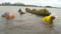Đồng bằng sông Cửu Long vừa hết hạn hán lại bị ngập lụt