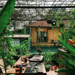 Những homestay xinh xắn thơ mộng ngay giữa lòng thủ đô Hà Nội