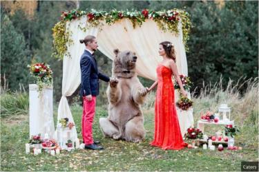 Gấu "cử hành" hôn lễ cho đôi trẻ