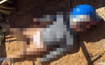 Vụ nữ sinh giao gà bị sát hại: Cô gái bị siết cổ,hãm hiếp