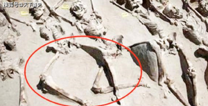 Tại sao những phi tần tuẫn táng cùng Tần Thủy Hoàng đều không khép chân sau khi bị chôn sống?
